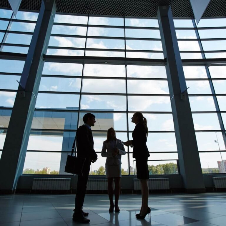 Asesores en Comercio Exterior